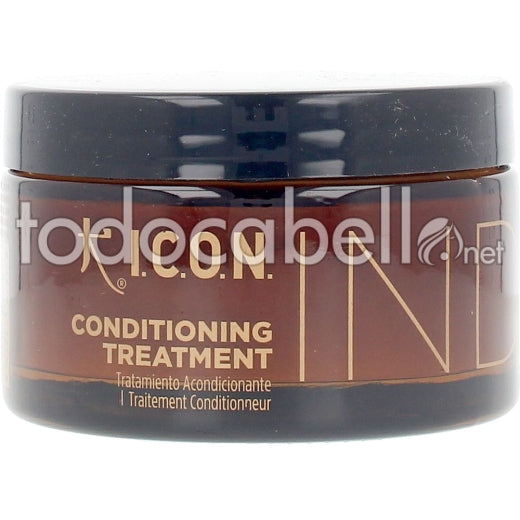 I.C.O.N. INDIA conditioning treatment 170 ml