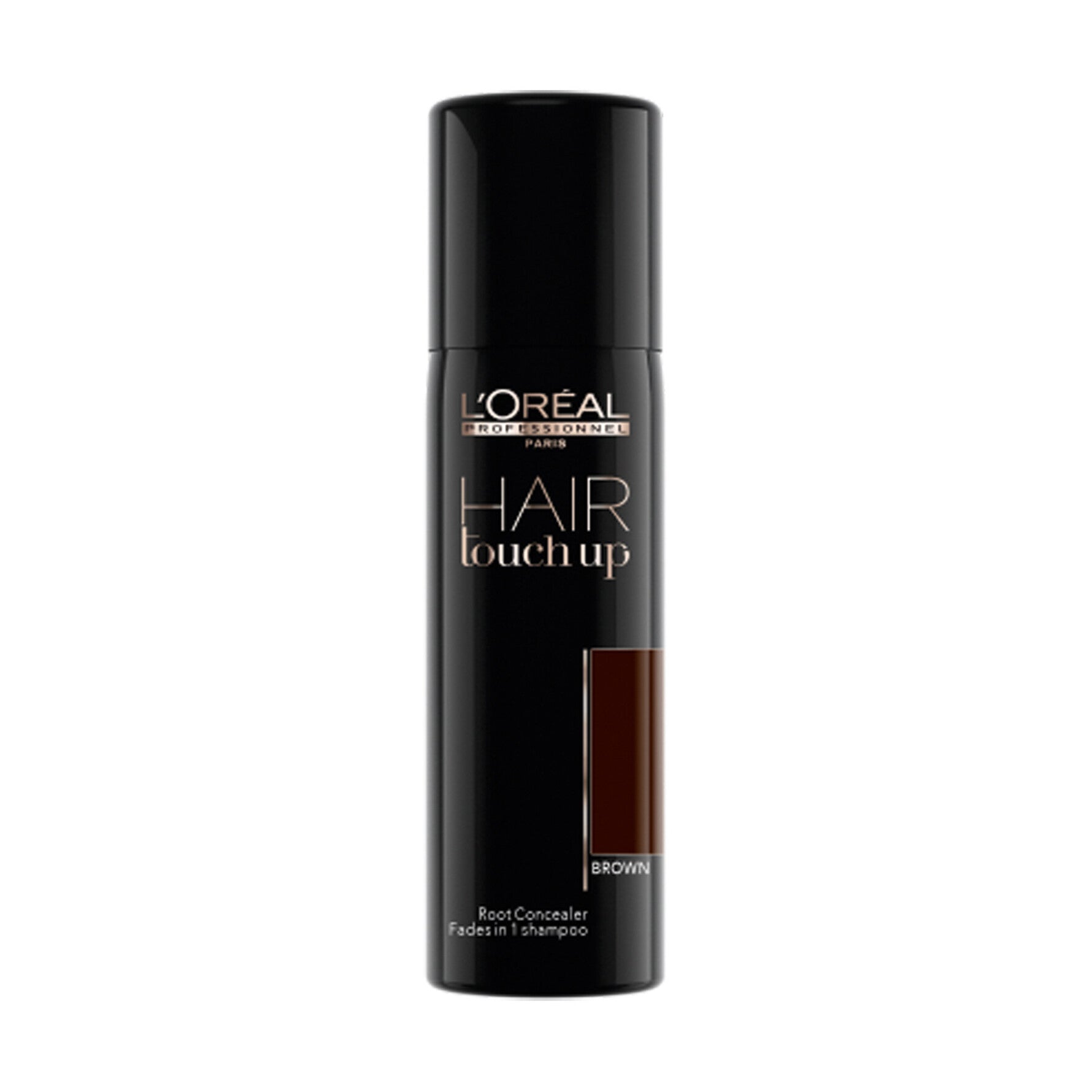 L'ORÉAL PROFESSIONNEL PARIS HAIR TOUCH UP root corrector #chestnut 75 ml