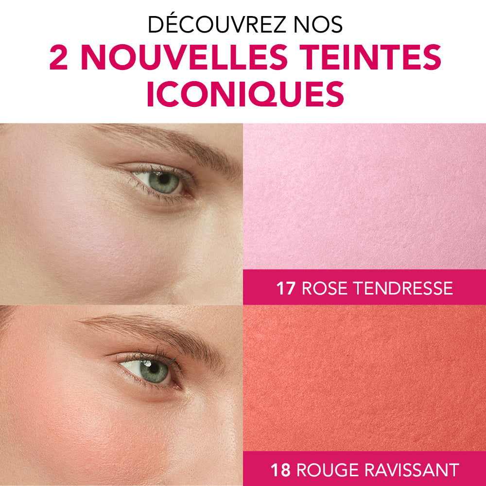 BOURJOIS LITTLE ROUND pot blusher powder #16-rose coup 2,5 gr