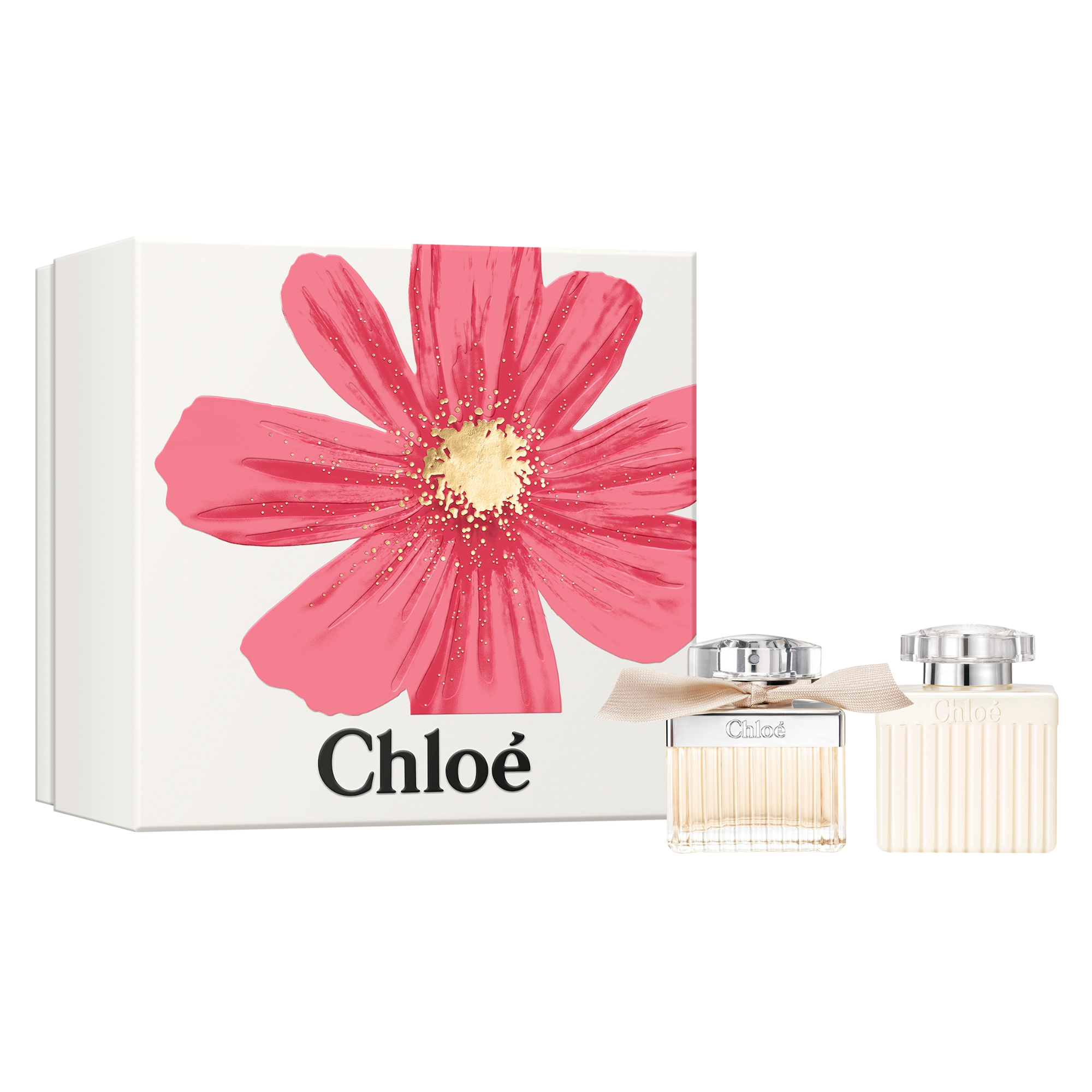 CHLOÉ SIGNATURE CASE 2 pcs