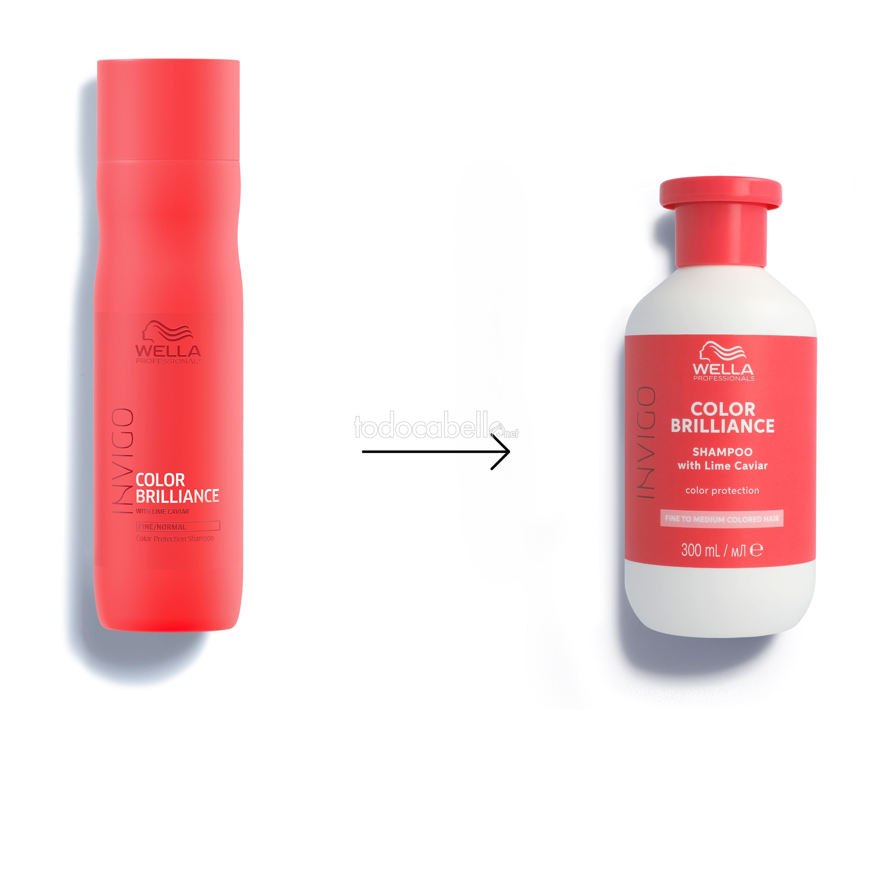 WELLA PROFESSIONALS INVIGO COLOR BRILLIANCE Color Protecting Shampoo Fine or normal hair 300 ml