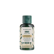 THE BODY SHOP GINGER conditioner 60 ml