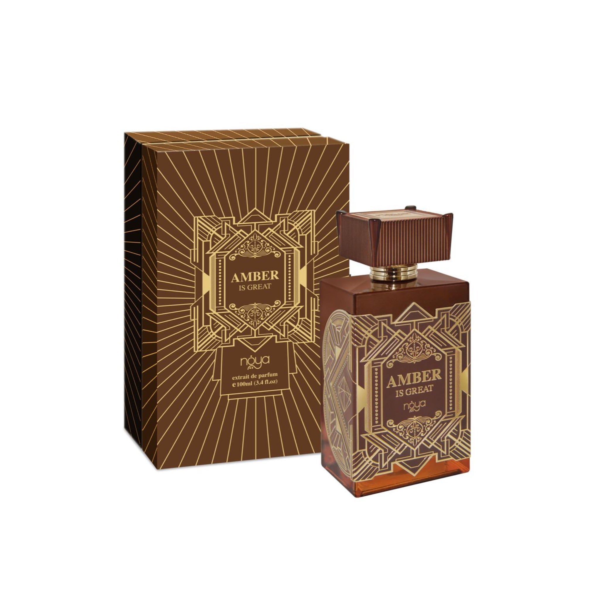 AFNAN AMBER IS GREAT edp vapo 100 ml
