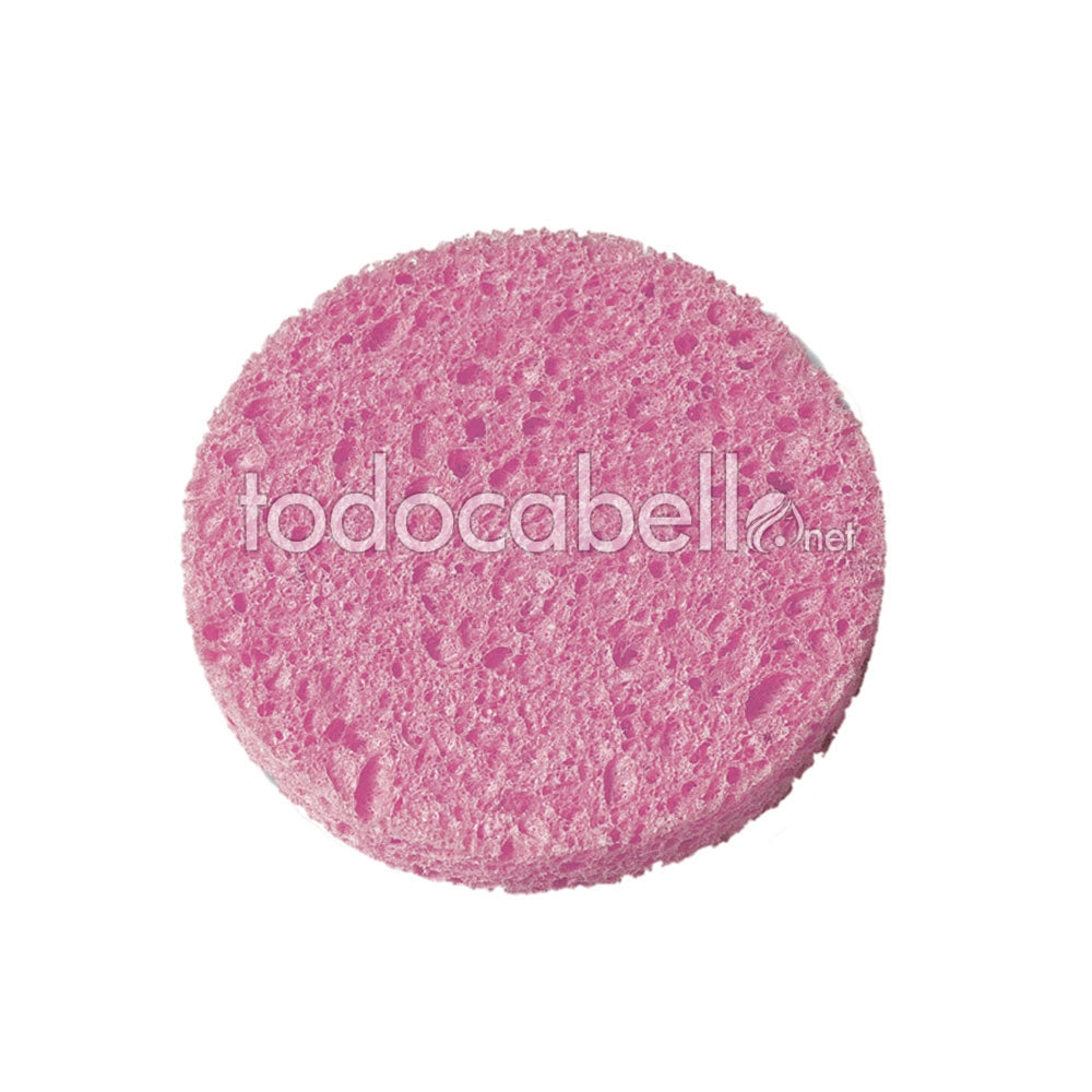 BETER Cellulose makeup remover SPONGE 1 unit