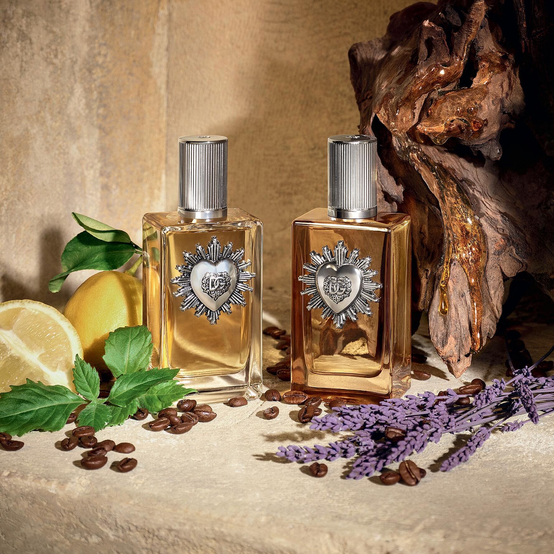 DOLCE & GABBANA DEVOTION POUR HOMME PARFUM edp vapo 100 ml