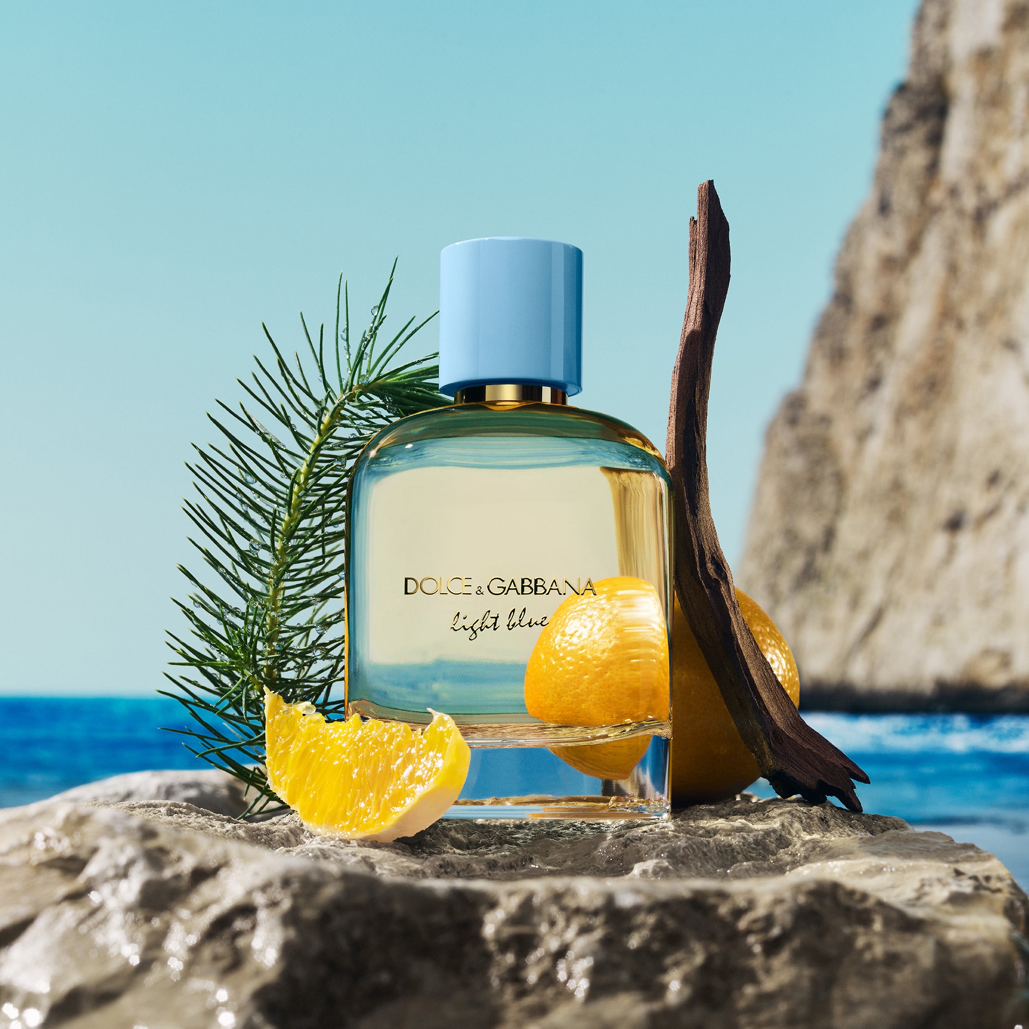 DOLCE & GABBANA LIGHT BLUE POUR HOMME edp vapo 100 ml