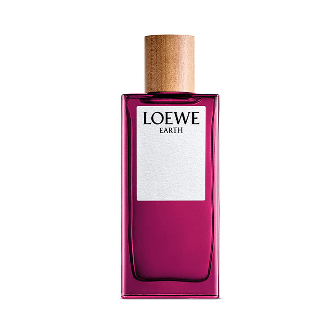 LOEWE EARTH eau de parfum spray 100 ml