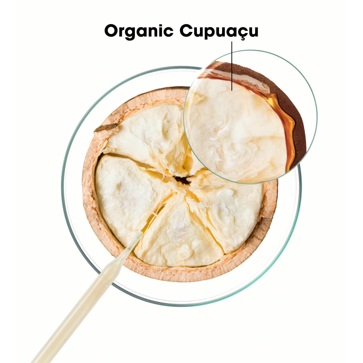 KLORANE AL CUPUAÇU BIO repairing shampoo for very dry hair 400 ml