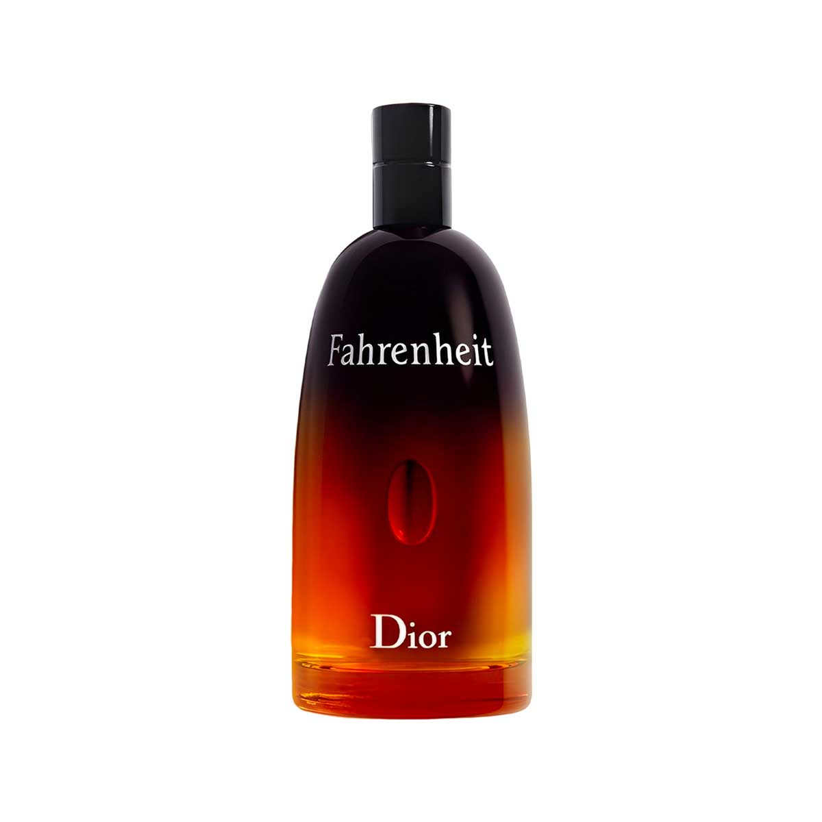 DIOR FAHRENHEIT eau de toilette spray 100 ml