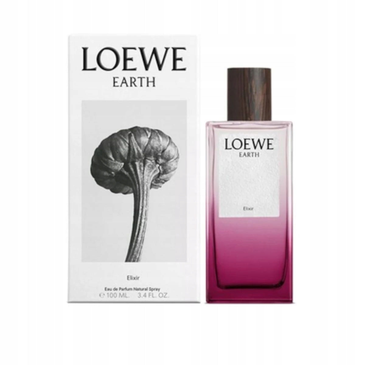 LOEWE EARTH ELIXIR edp vapo 100 ml