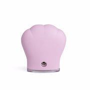 IDC INSTITUTE SKIN cleansing brush 1 u