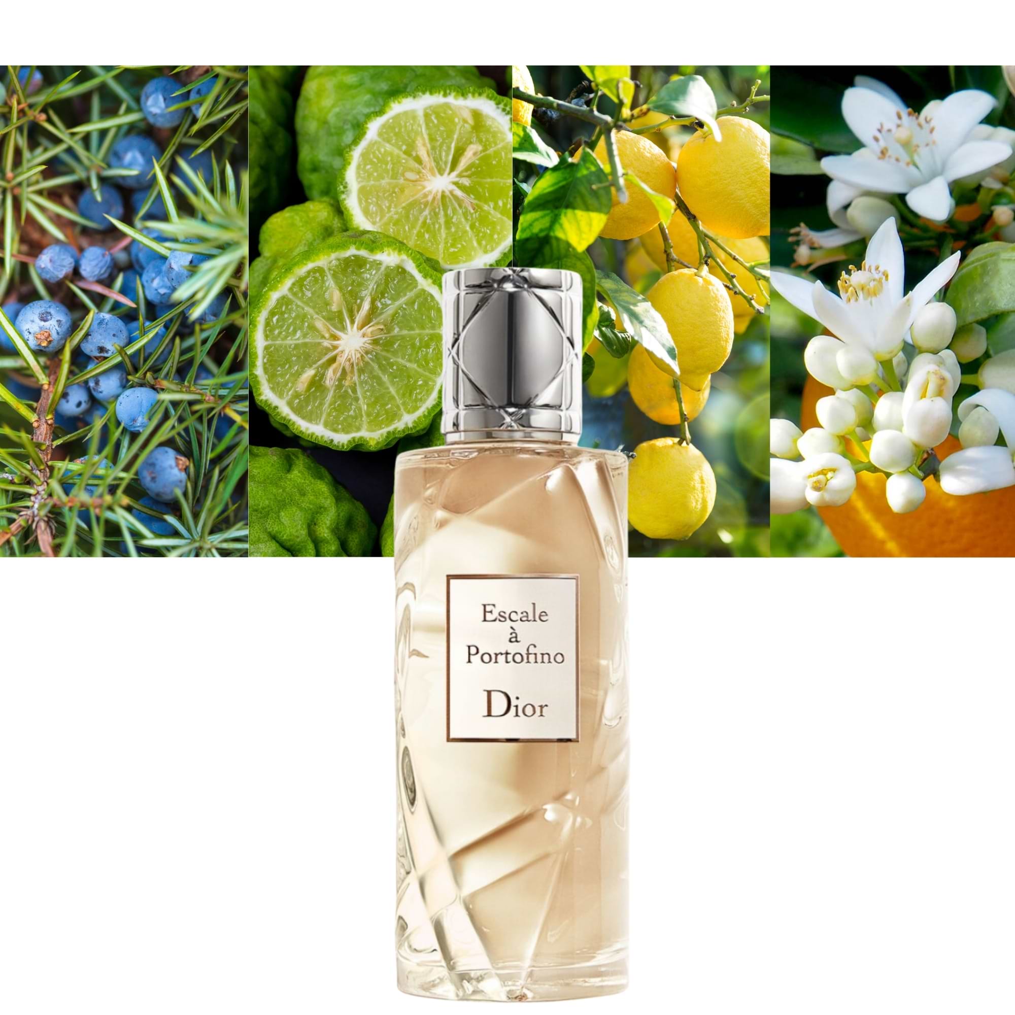 DIOR ESCALE À PORTOFINO eau de toilette spray 75 ml