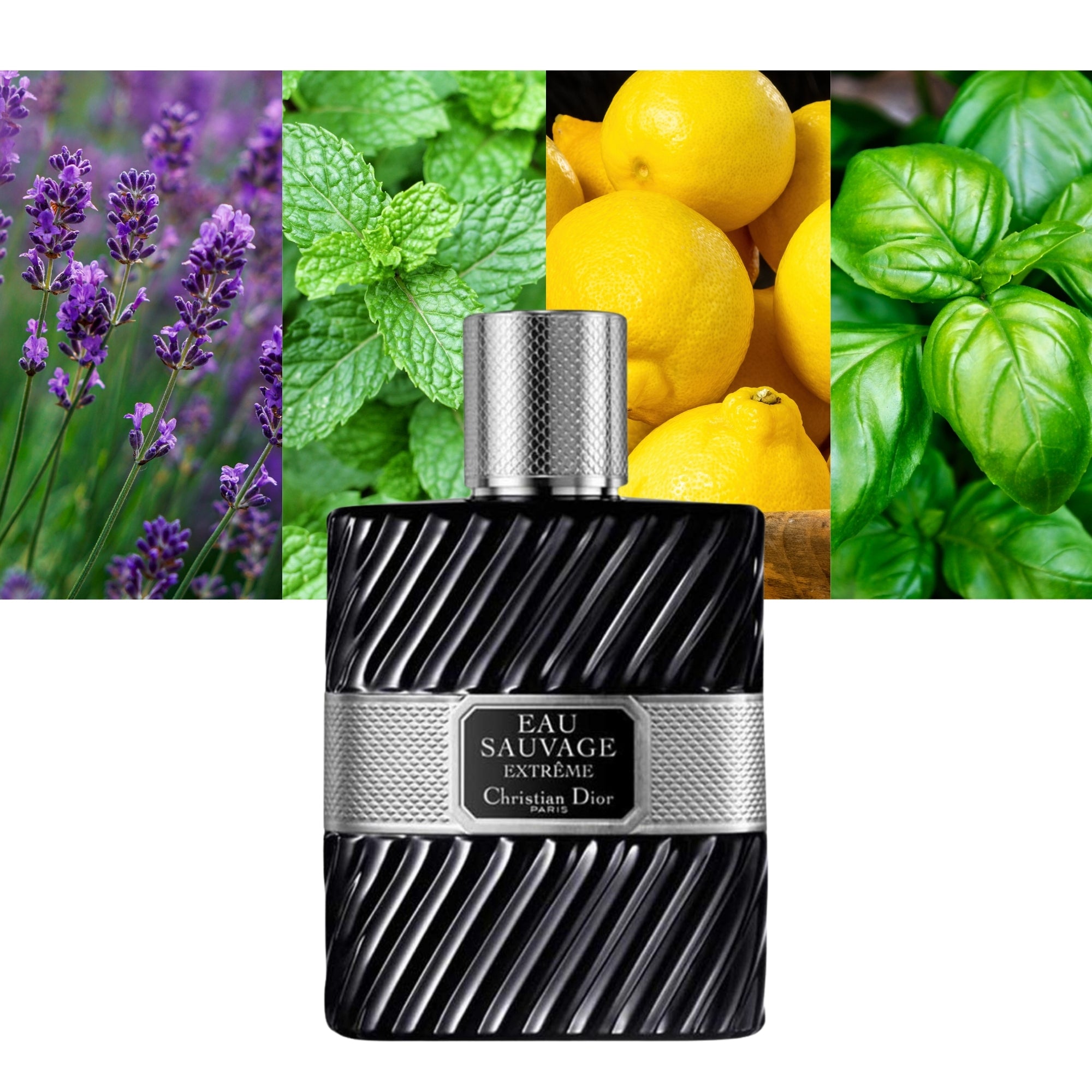 DIOR EAU SAUVAGE EXTREME INTENSE eau de toilette spray 100 ml