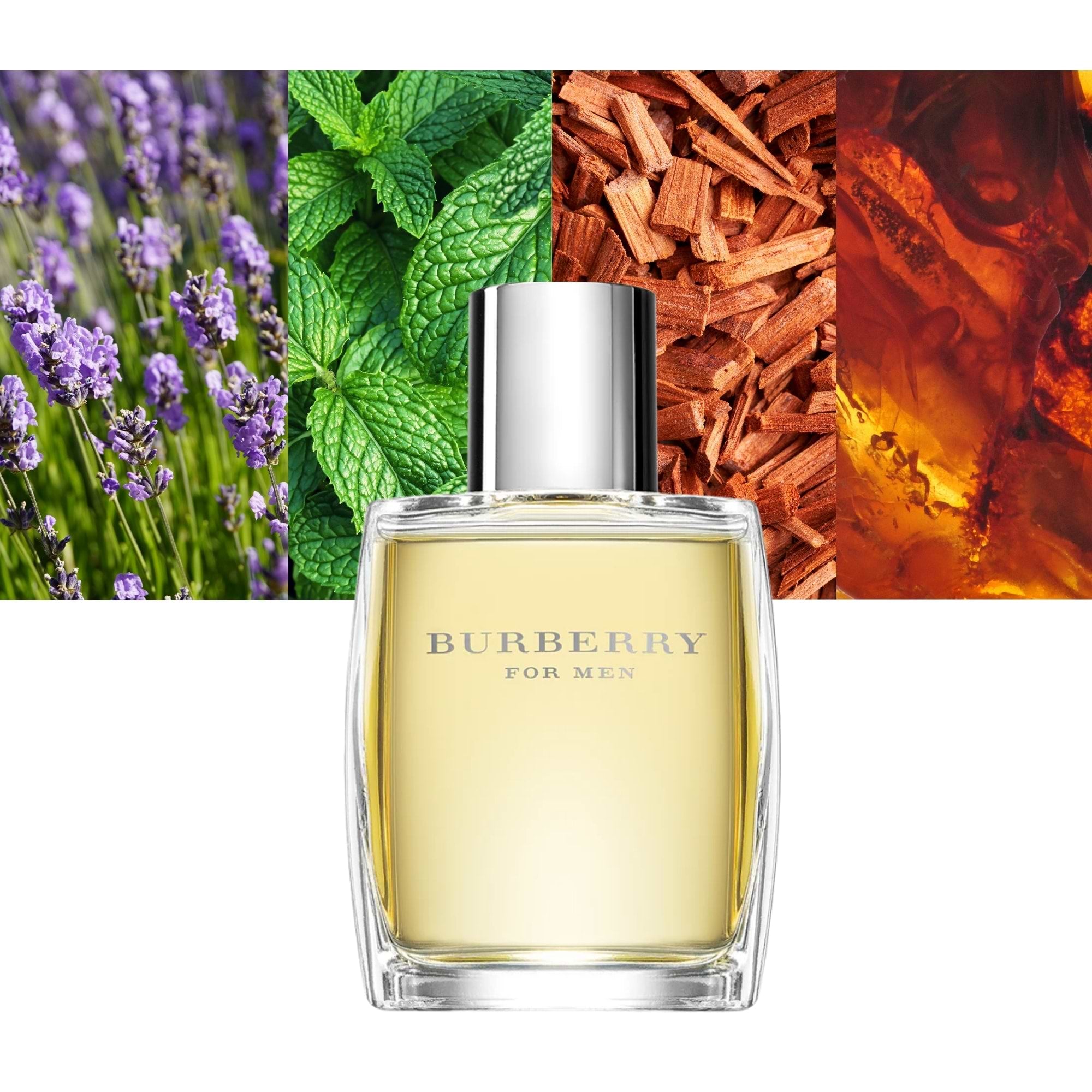 BURBERRY FOR MEN eau de toilette spray 50 ml