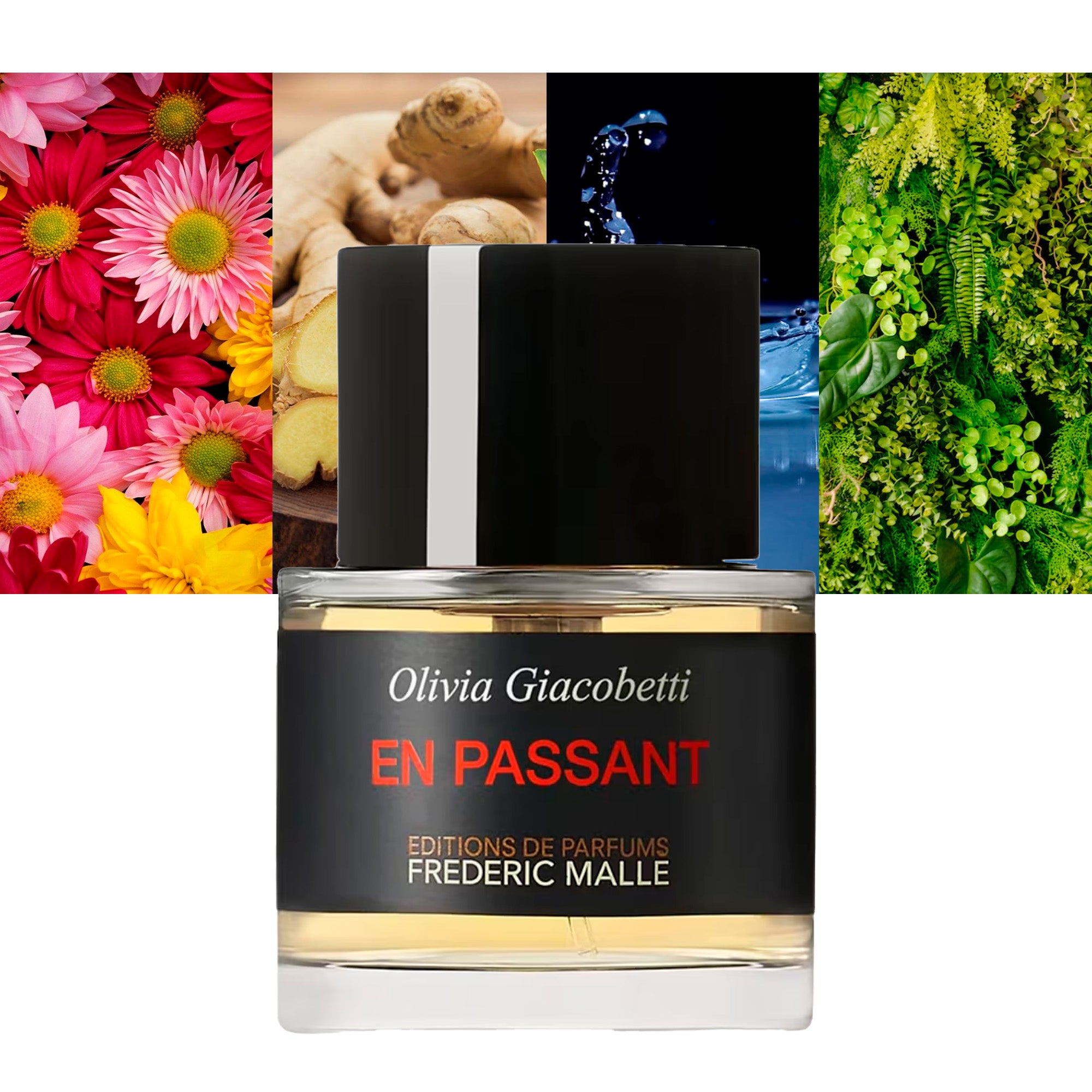 FREDERIC MALLE EN PASSANT edp vapor 50 ml