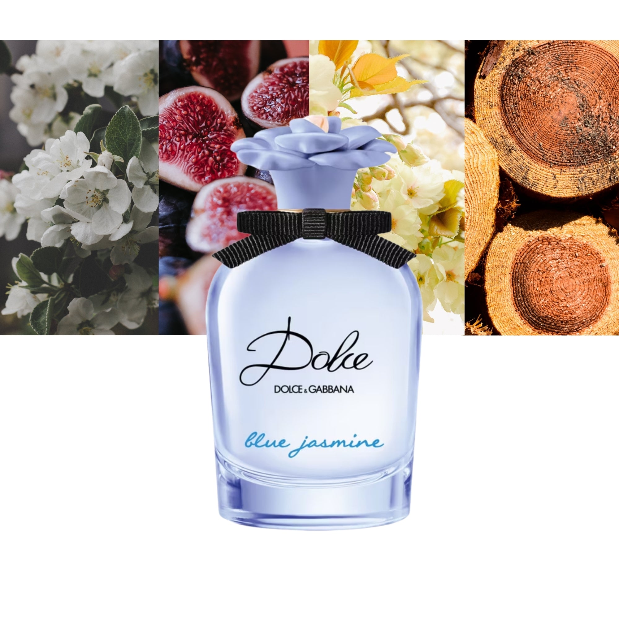 DOLCE & GABBANA DOLCE BLUE JASMIN edp vapo 75 ml