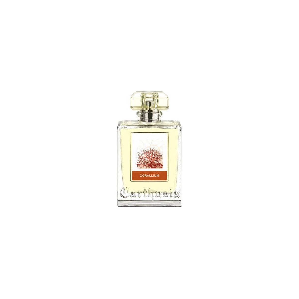 CARTHUSIA CORALLIUM edp vapor 100 ml