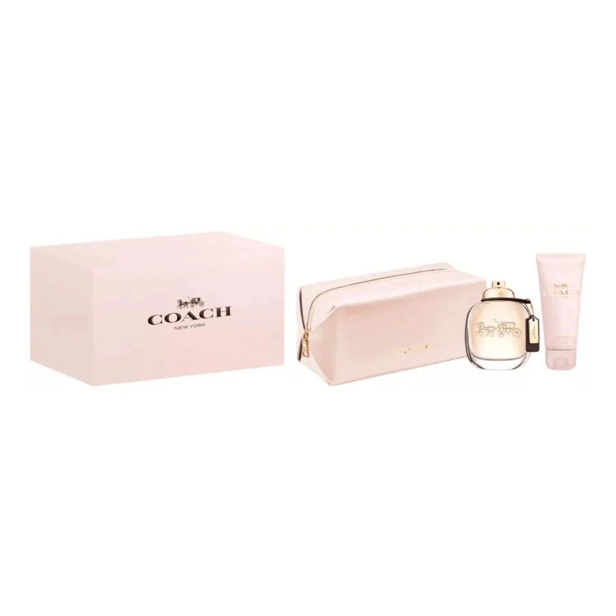 COACH WOMAN 3-piece case