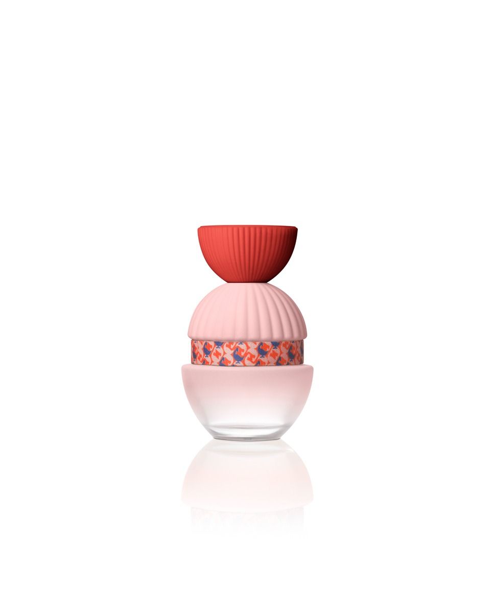 EL GANSO FUN &amp; CHIC edp vapo 100 ml