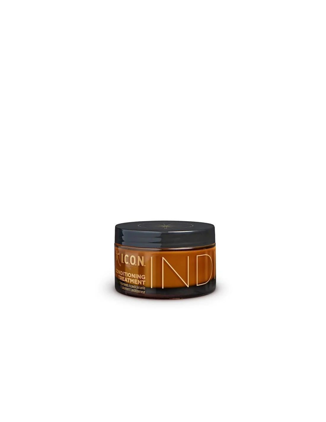 I.C.O.N. INDIA conditioning treatment 170 ml
