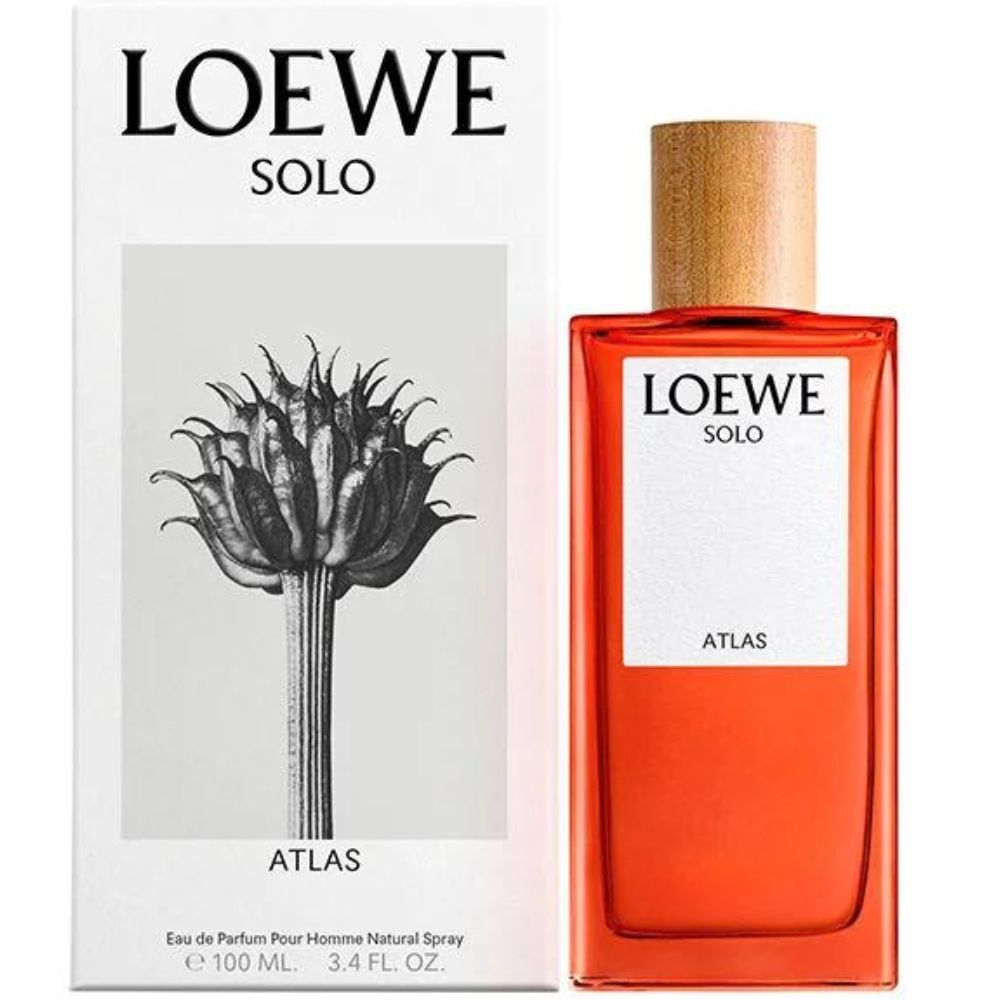 SOLO LOEWE CEDRO eau de toilette spray 50 ml