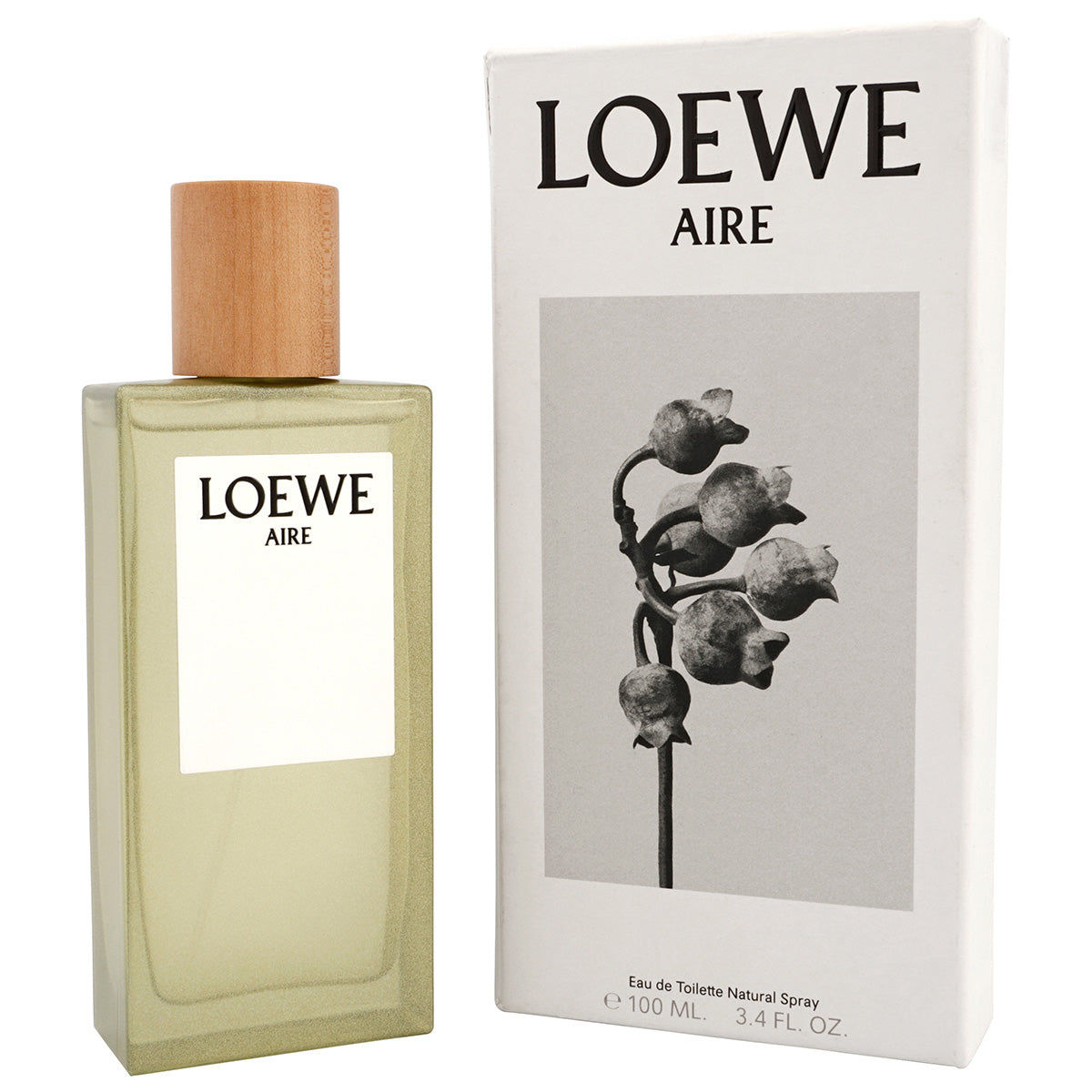 LOEWE AIRE eau de toilette spray 100 ml