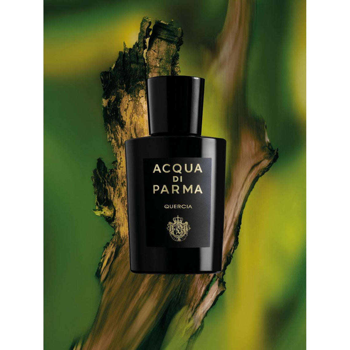 ACQUA DI PARMA COLONIA QUERCIA eau de parfum spray 180 ml