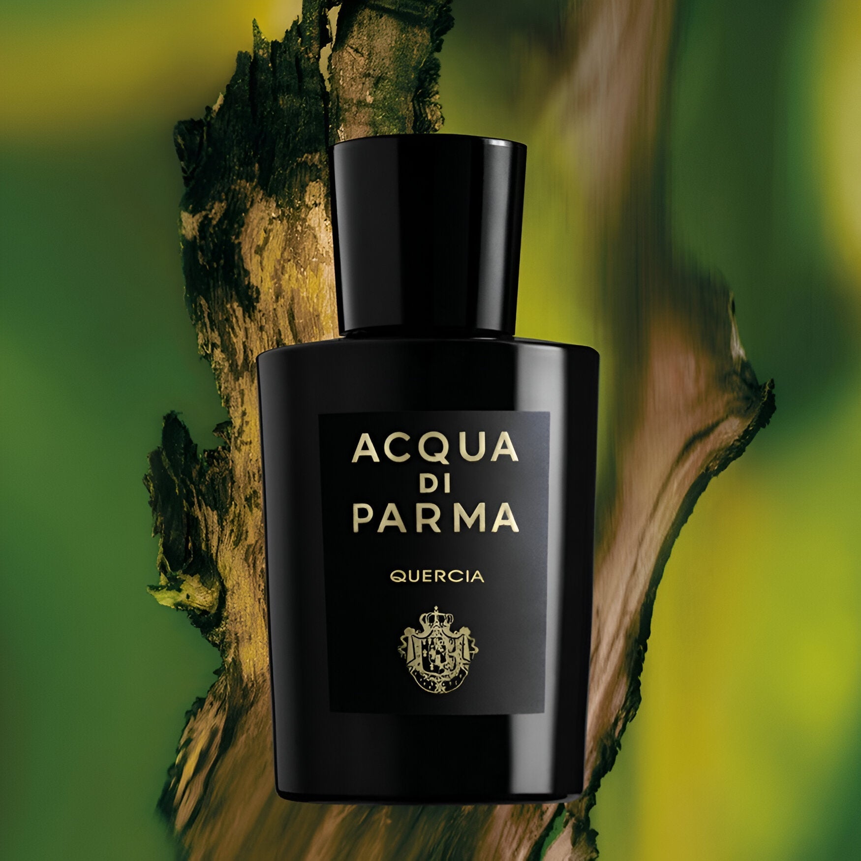 ACQUA DI PARMA SIGNATURES OF THE SUN QUERCIA eau de parfum spray 100 ml